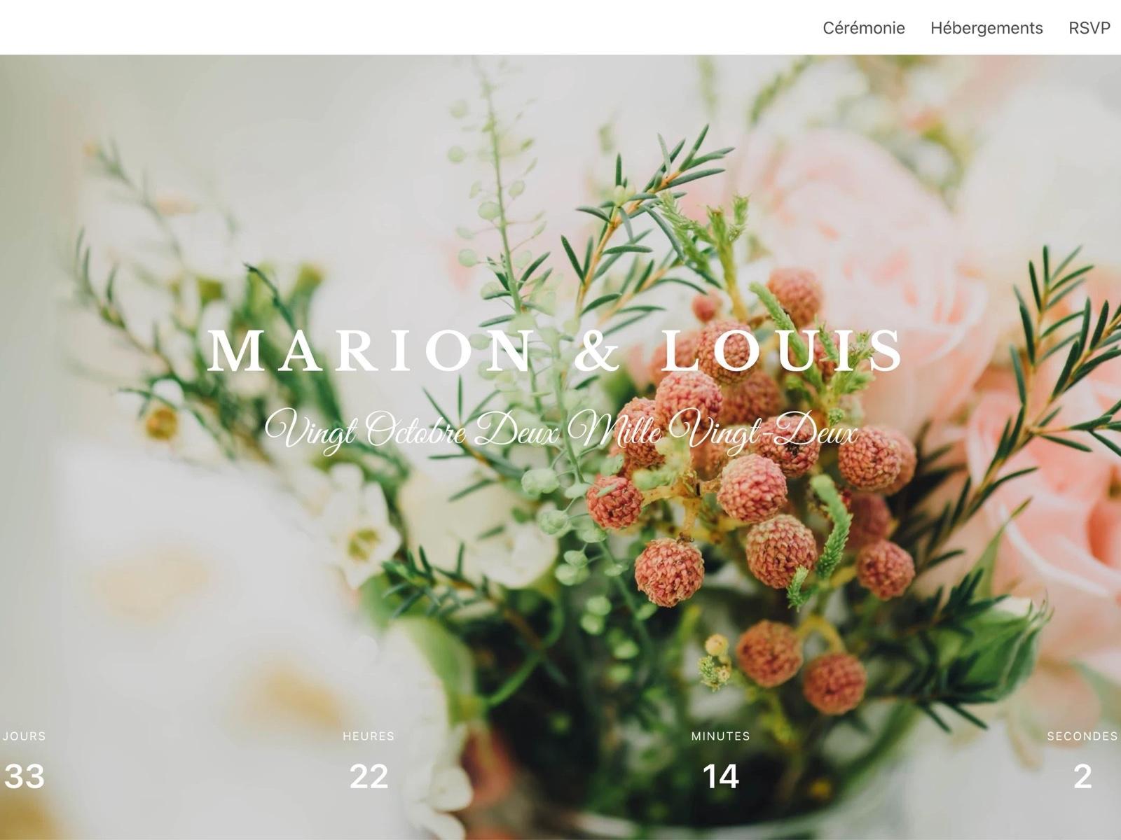 Wedding website example